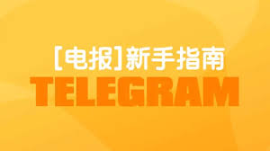 即時通信软件电报的创始人警告不要从骗子手中购买加